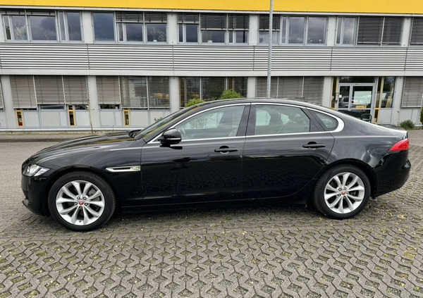Jaguar XF cena 159900 przebieg: 39500, rok produkcji 2020 z Częstochowa małe 667